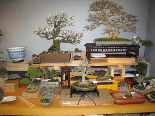 Isino-san's Trees, pots and stones