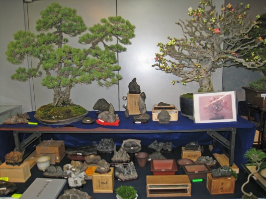 Isino-san's Trees, pots and stones