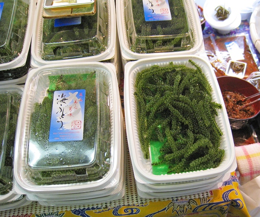 Seaweed from Okinawa