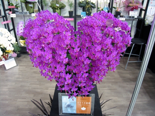An orchid heart