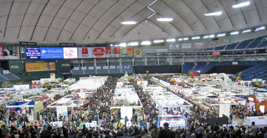 Up high in the Tokyo Dome looking down at the crowd