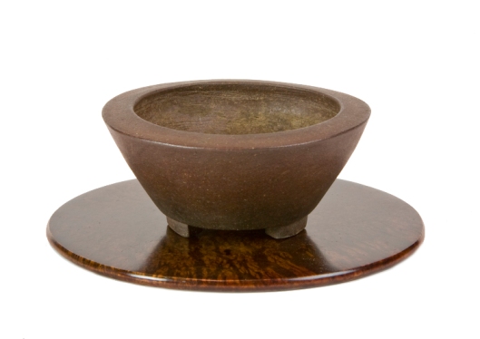 Japanese Quince Jita with Tofukuji (平安東福寺) unglazed pot.