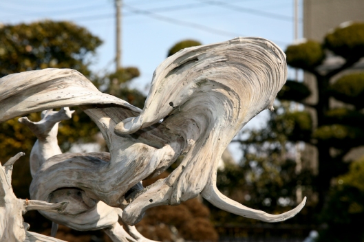 Masahiko Kimura Bonsai Tree